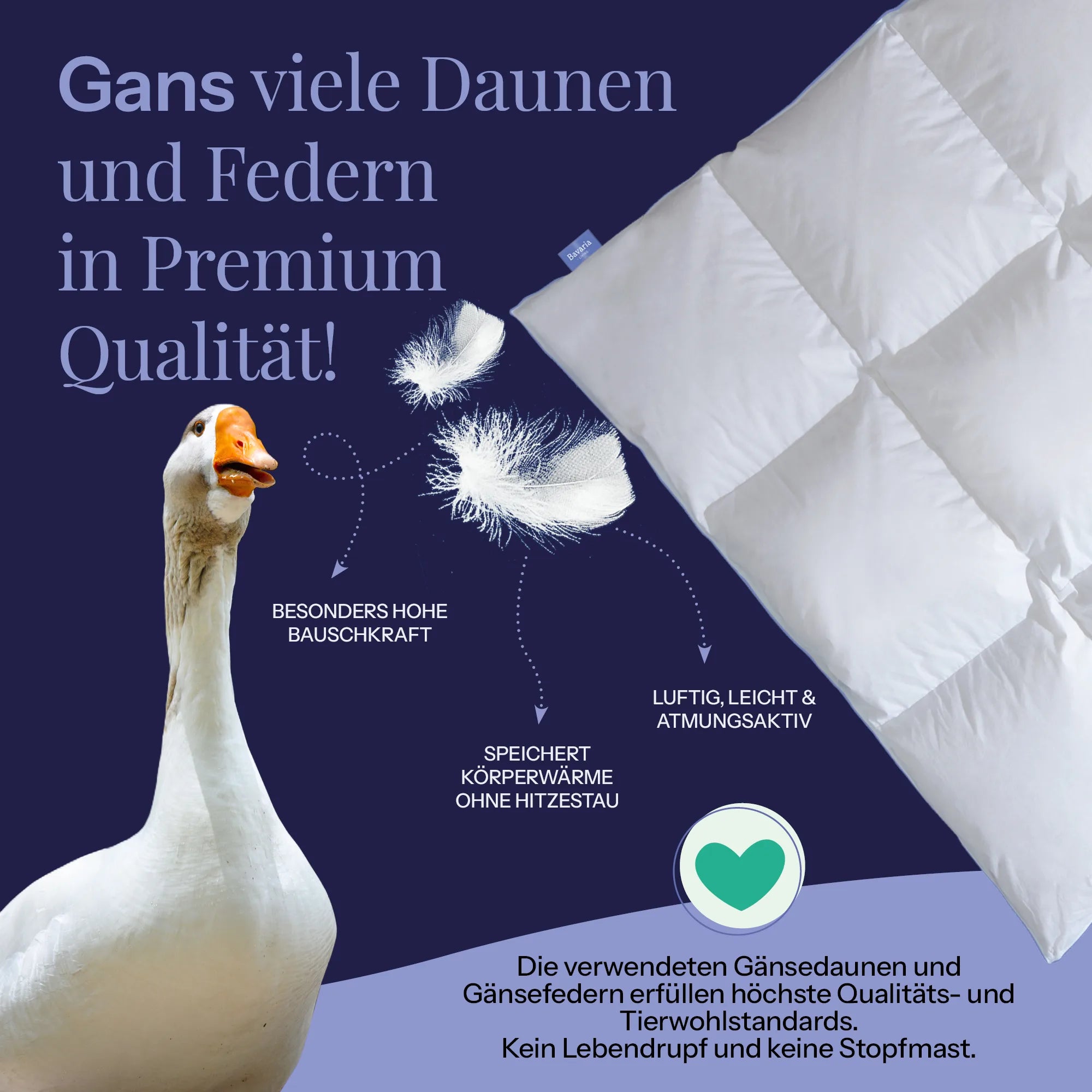 Produktbild mit Gans und Text " Gans viele Daunen und Federn in Premium Qulaität
