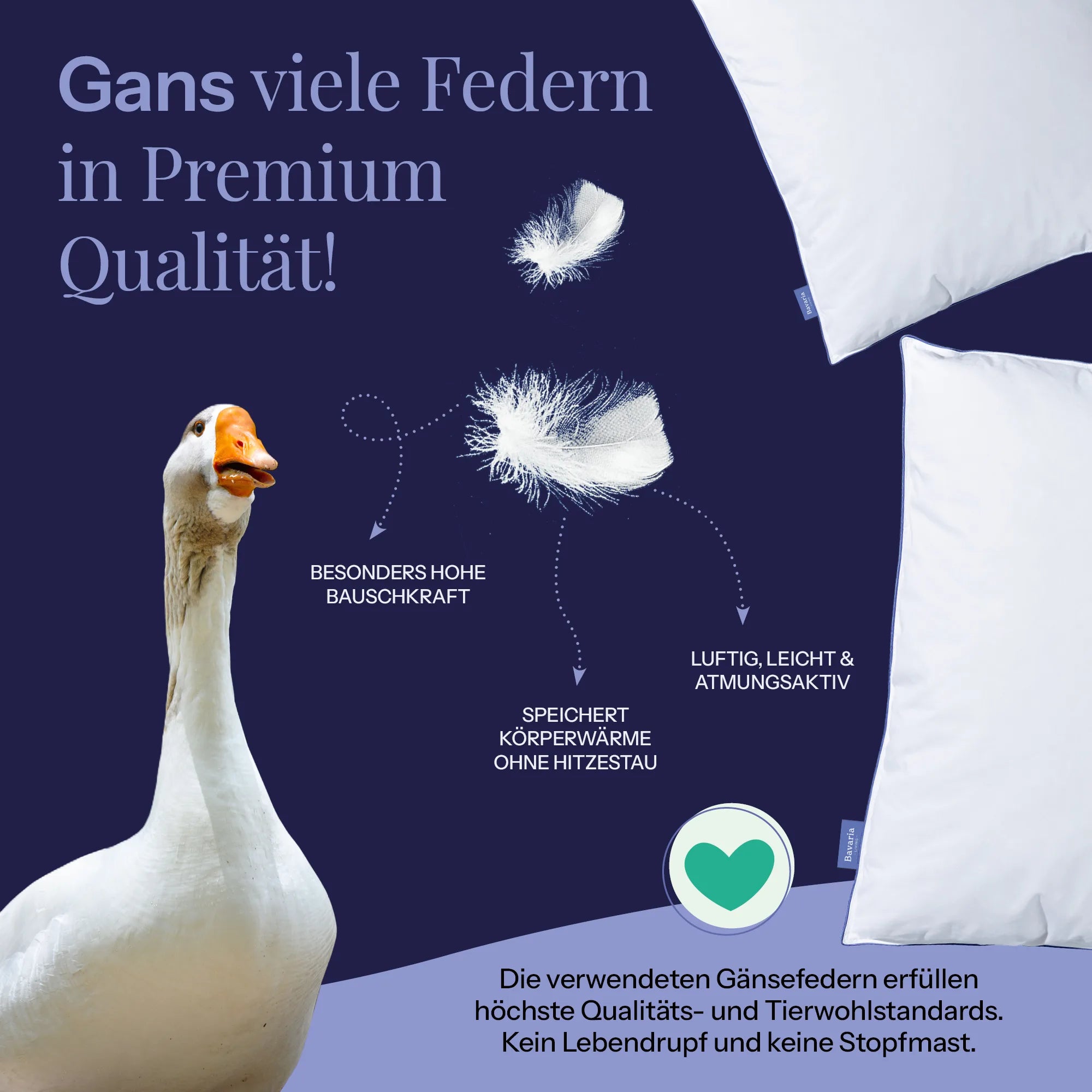 Baumwollernte als Teil einer verantwortungsvollen Rohstoffgewinnung für hochwertige Bettwaren.