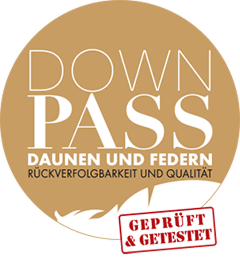 Logo Down Pass